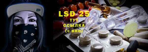 ГАЛЛЮЦИНОГЕННЫЕ ГРИБЫ Заволжье