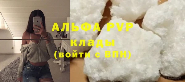 ГАЛЛЮЦИНОГЕННЫЕ ГРИБЫ Заволжье