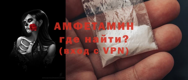 ГАЛЛЮЦИНОГЕННЫЕ ГРИБЫ Заволжье