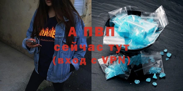 ГАЛЛЮЦИНОГЕННЫЕ ГРИБЫ Заволжье