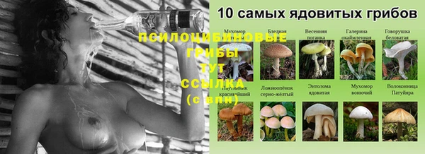 ГАЛЛЮЦИНОГЕННЫЕ ГРИБЫ Заволжье