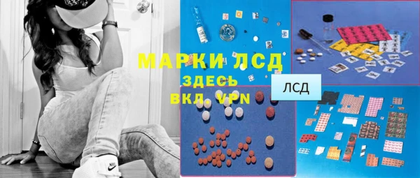 ГАЛЛЮЦИНОГЕННЫЕ ГРИБЫ Заволжье