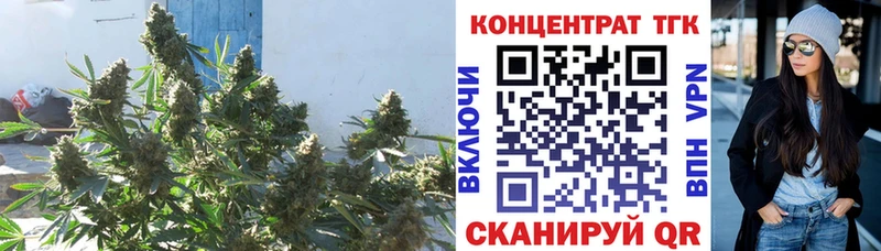 KRAKEN ссылка  Смоленск  ТГК вейп  наркошоп 