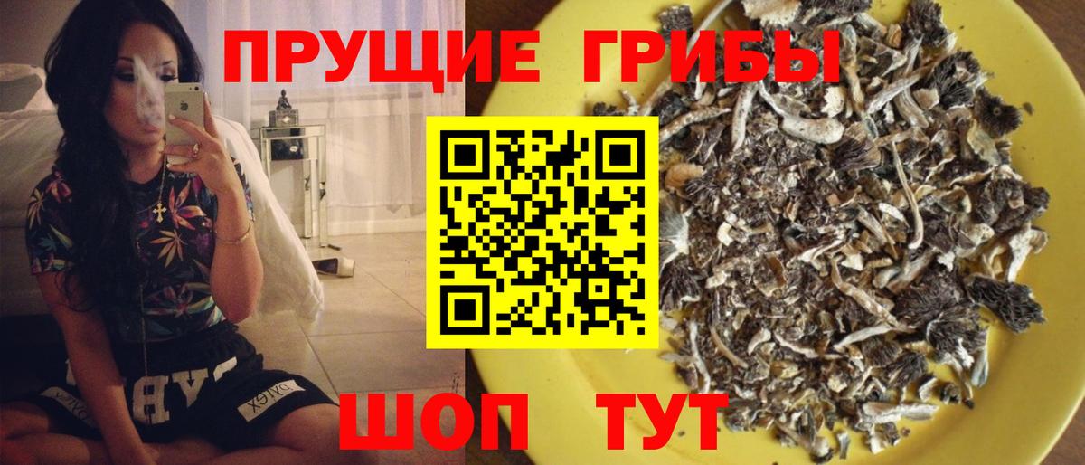 Псилоцибиновые грибы Psilocybine cubensis  Вход с VPN  Смоленск  Галлюциногенные грибы Psilocybine cubensis 